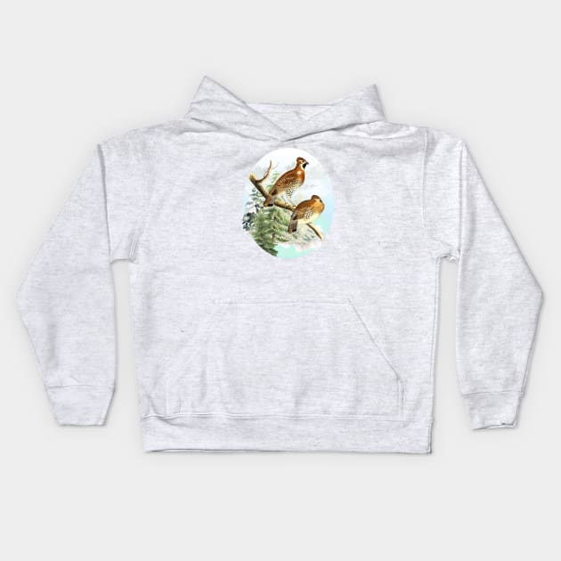 Partridges Wildlife Illustration Kids Hoodie by Biophilia